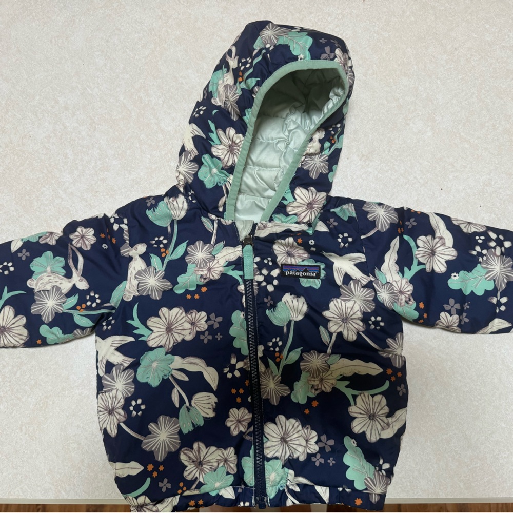 Toddler girl Patagonia puffer jacket 12-18 months
